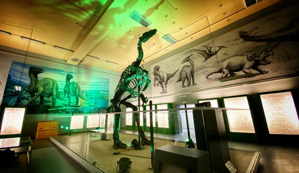 Réouverture musée de l'iguanodon reouverture